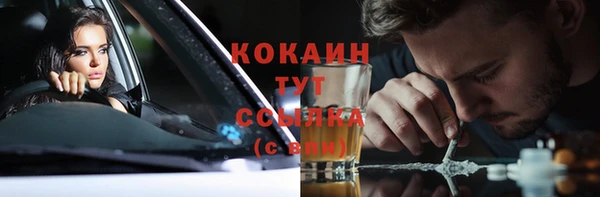 спиды Магас