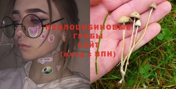 прущая мука Лиски