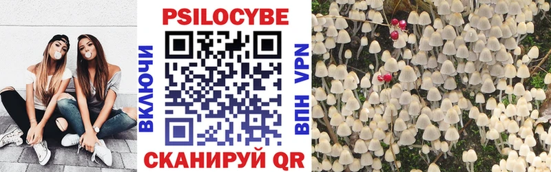 Псилоцибиновые грибы MAGIC MUSHROOMS  закладка  Ессентуки 