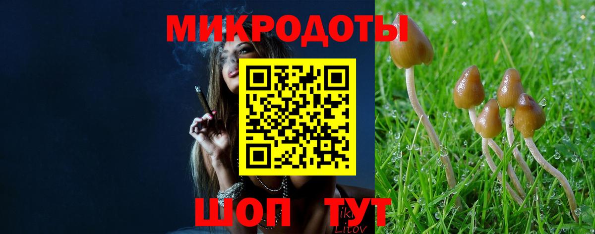 Псилоцибиновые грибы GOLDEN TEACHER  Псилоцибиновые грибы Psilocybe  Ессентуки 